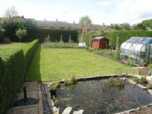 Garden View 2