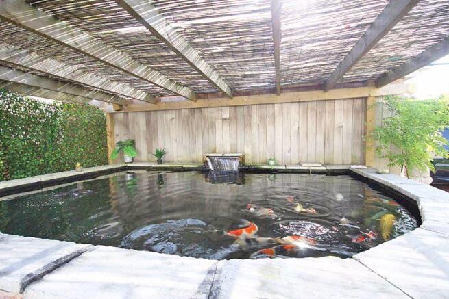 Pond 