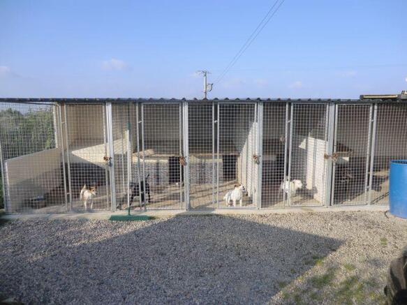 Kennels