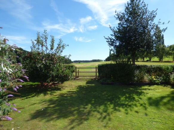 Garden with View