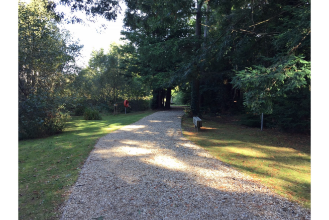 Woodland