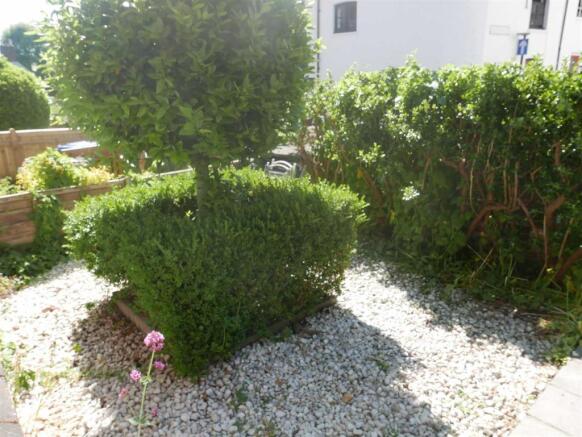 Photo 6