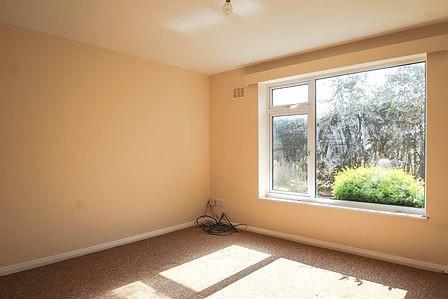 Lounge (Main)