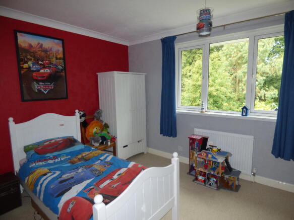 Photo 10