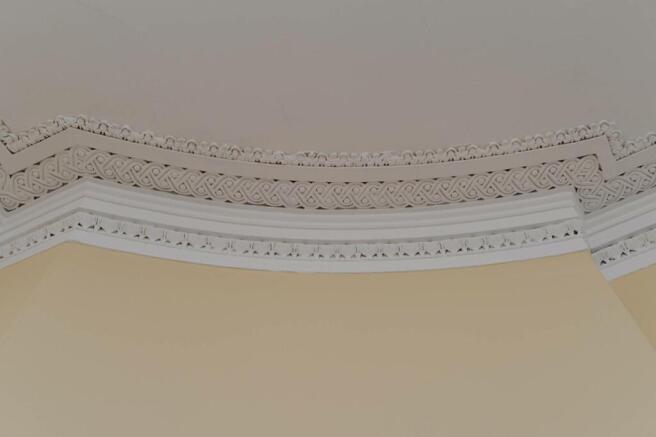MFL5230403_608.jpg