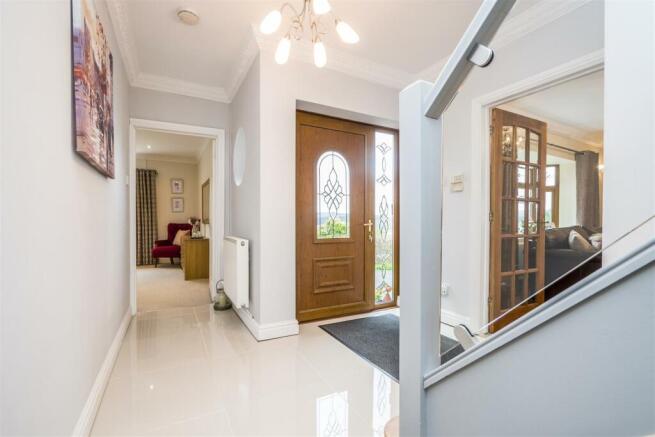P1977722.jpg