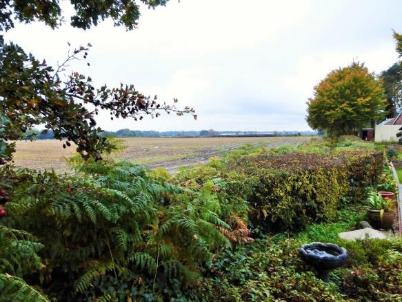 Field Views