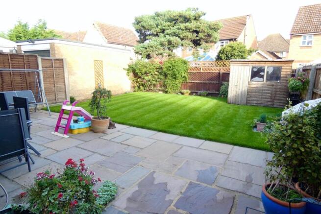Patio and Garden
