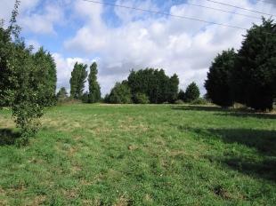 Grounds