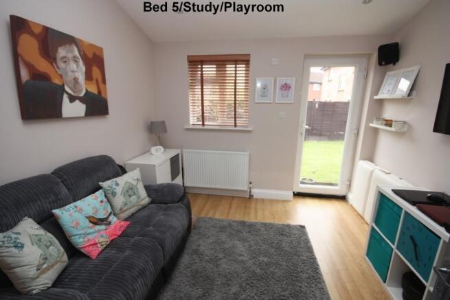 Bed 5/Study