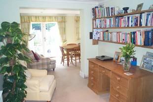 Study Area