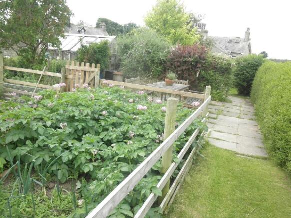 veg plot