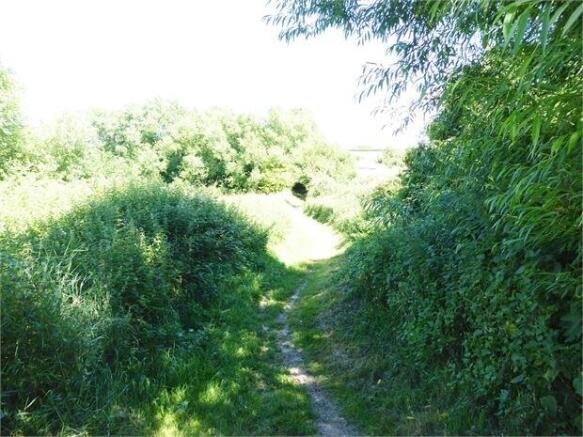 Photo19