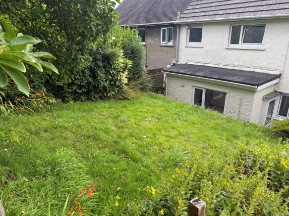back garden