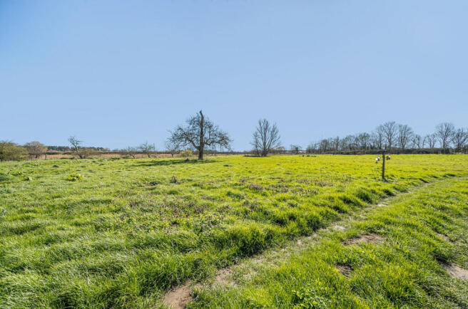 1425682-3-69bae64...