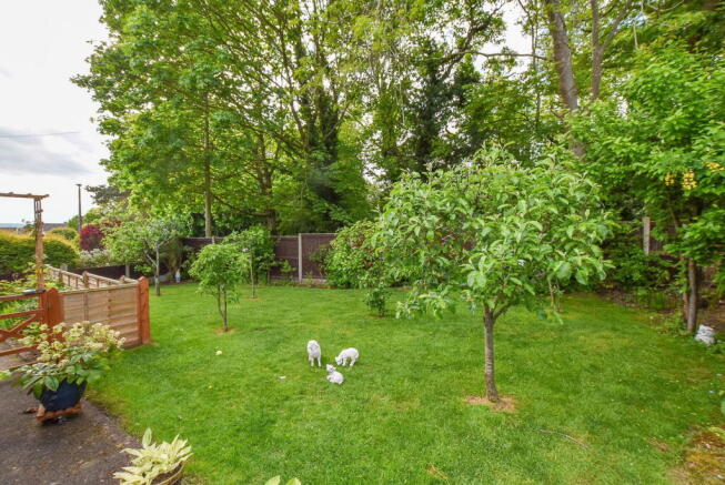 Photo 14
