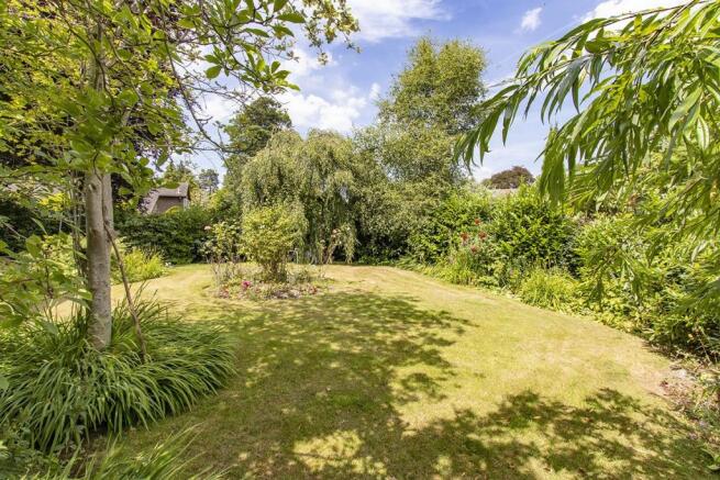 garden2.jpg