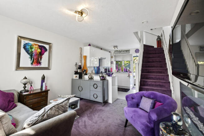 Living room and kitchen