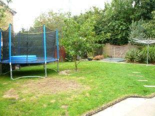 Picture 8