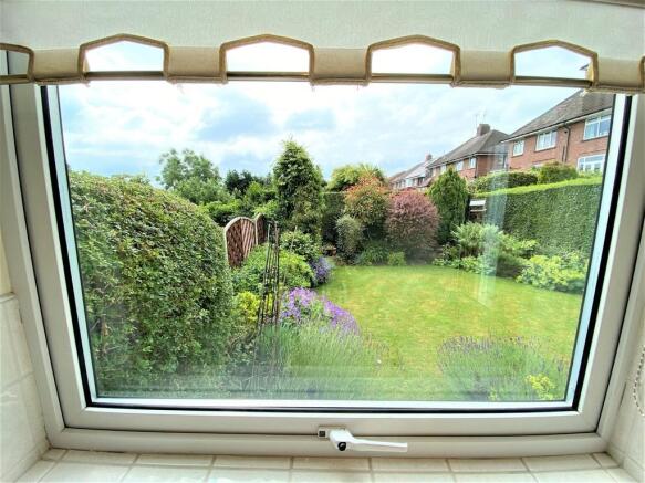 View From Kitchen