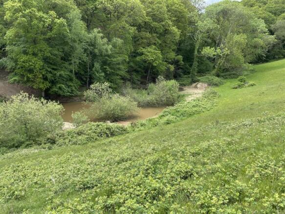 IMG_4091.jpg