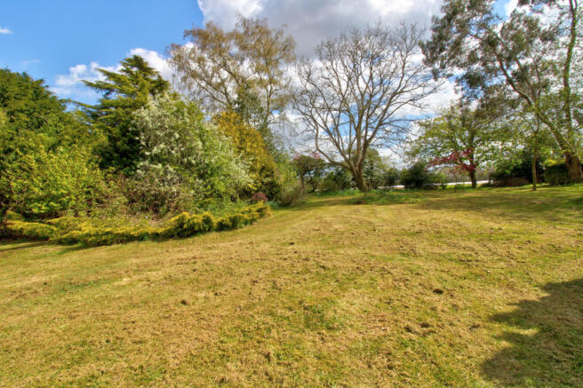 Garden 1