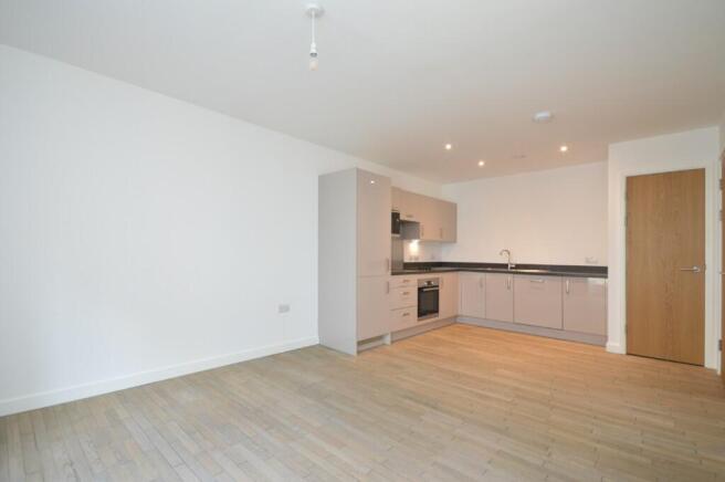 Kitchen/Living Room