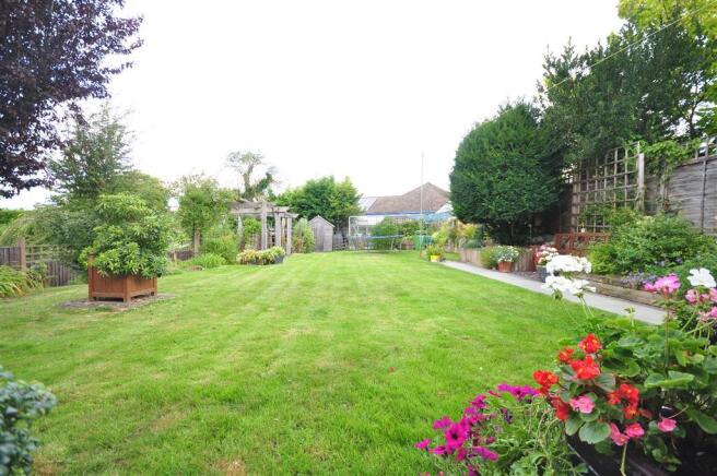 Rear Garden (Original)