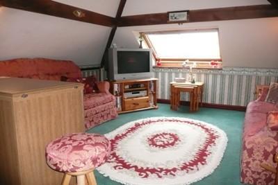 LIVING ROOM/BEDROOM
