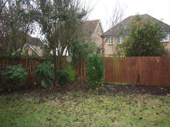 20 Beech ave garden