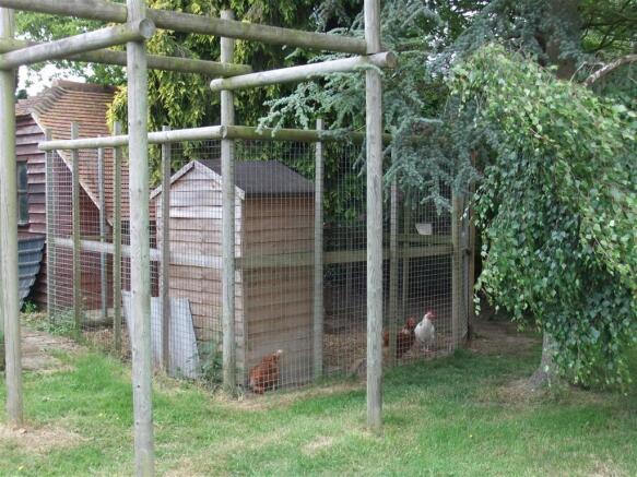 Chickens