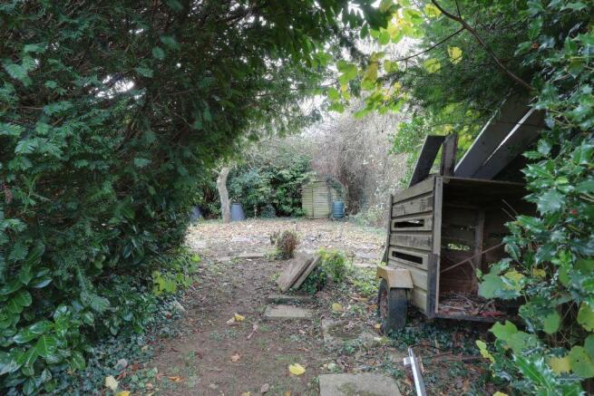 Garden at Back