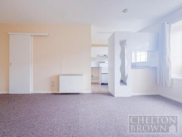 Living/Bedroom Area