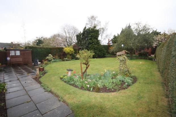 Garden 2