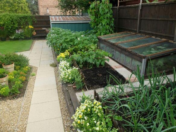 Vegetable plot