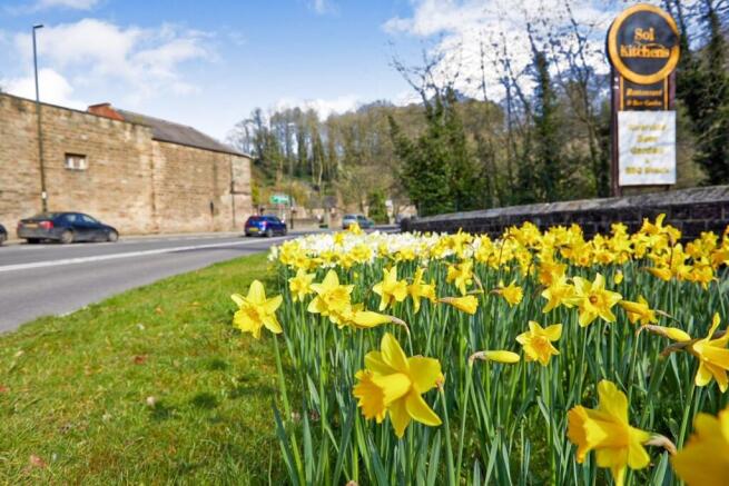 Milford Mills, Milford, Belper photo 4