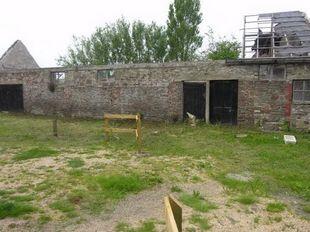 Picture 5
