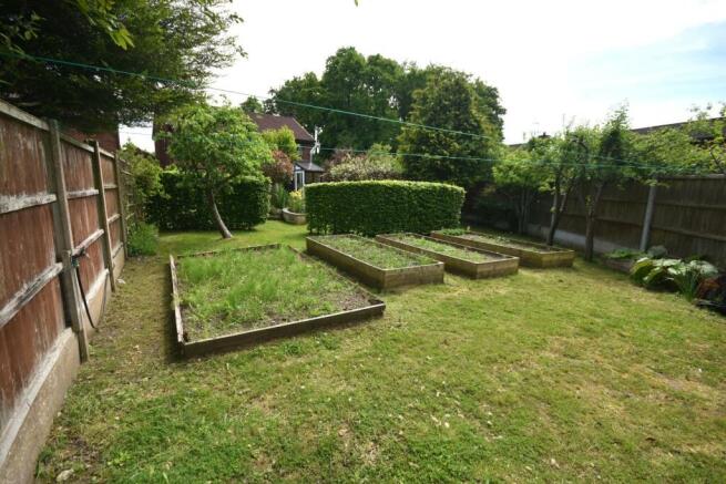 VEGETABLE PATCH