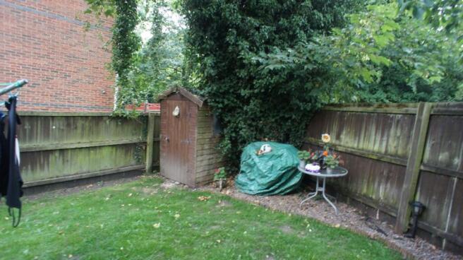 Photo 13