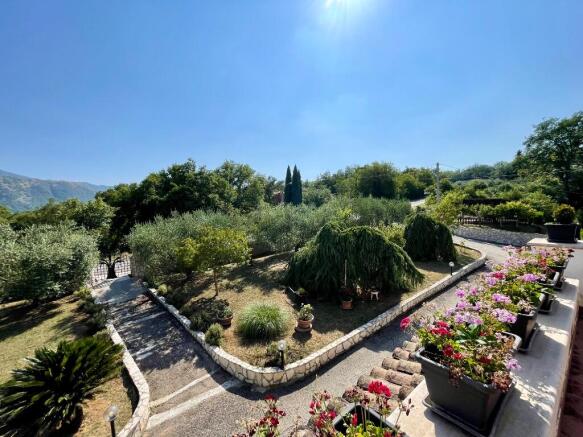 mediterranean garden