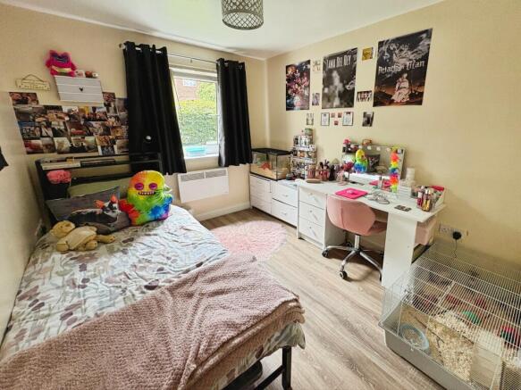 Photo 12
