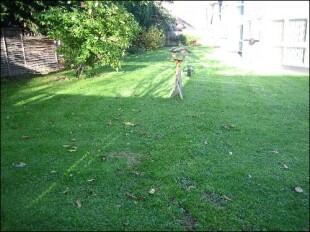 GARDENS 2