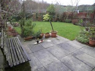 Garden Shot 2