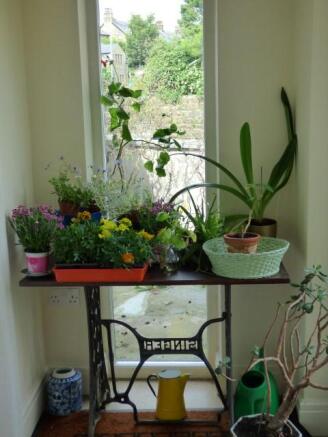 Photo 7
