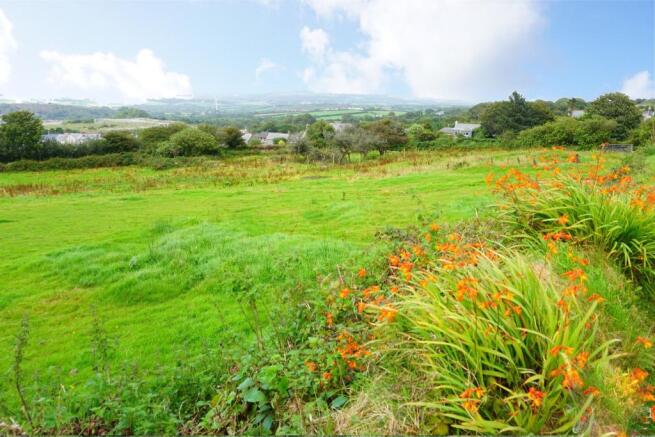 Field & View