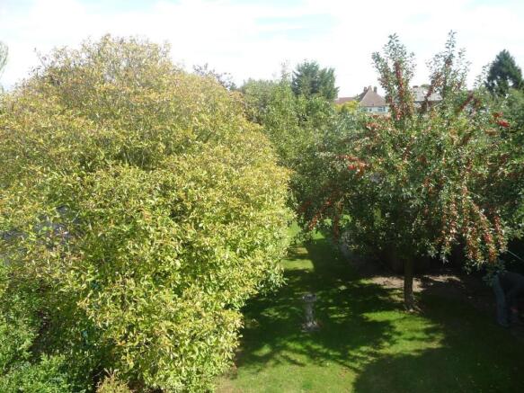 Outlook From Bedroom