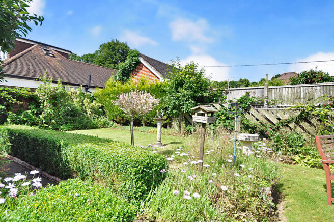 Photo 15