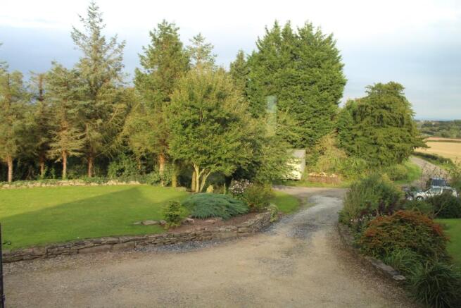 Driveway