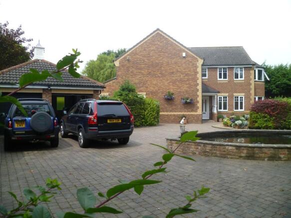 Image 16