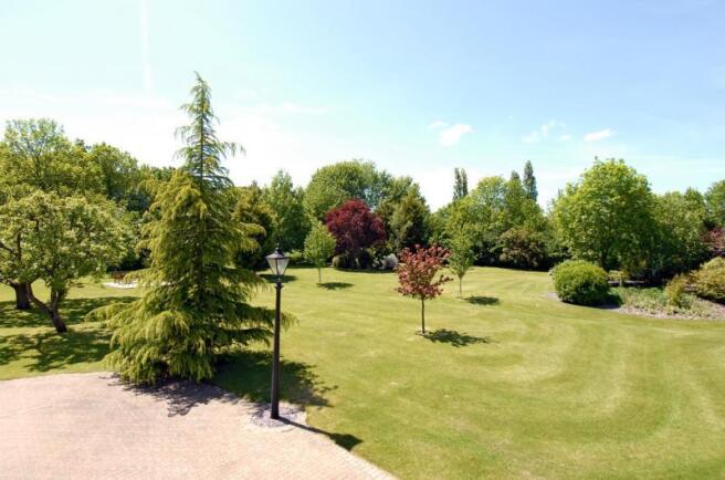 Photo 12